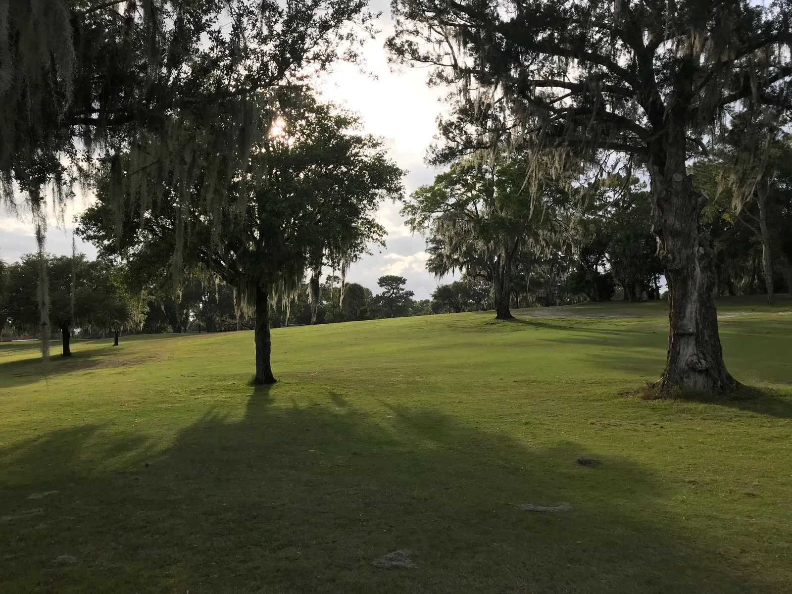 Golfer on a sunny Florida fairway representing Beacon Woods Golf Club in Hudson Bayonet Point