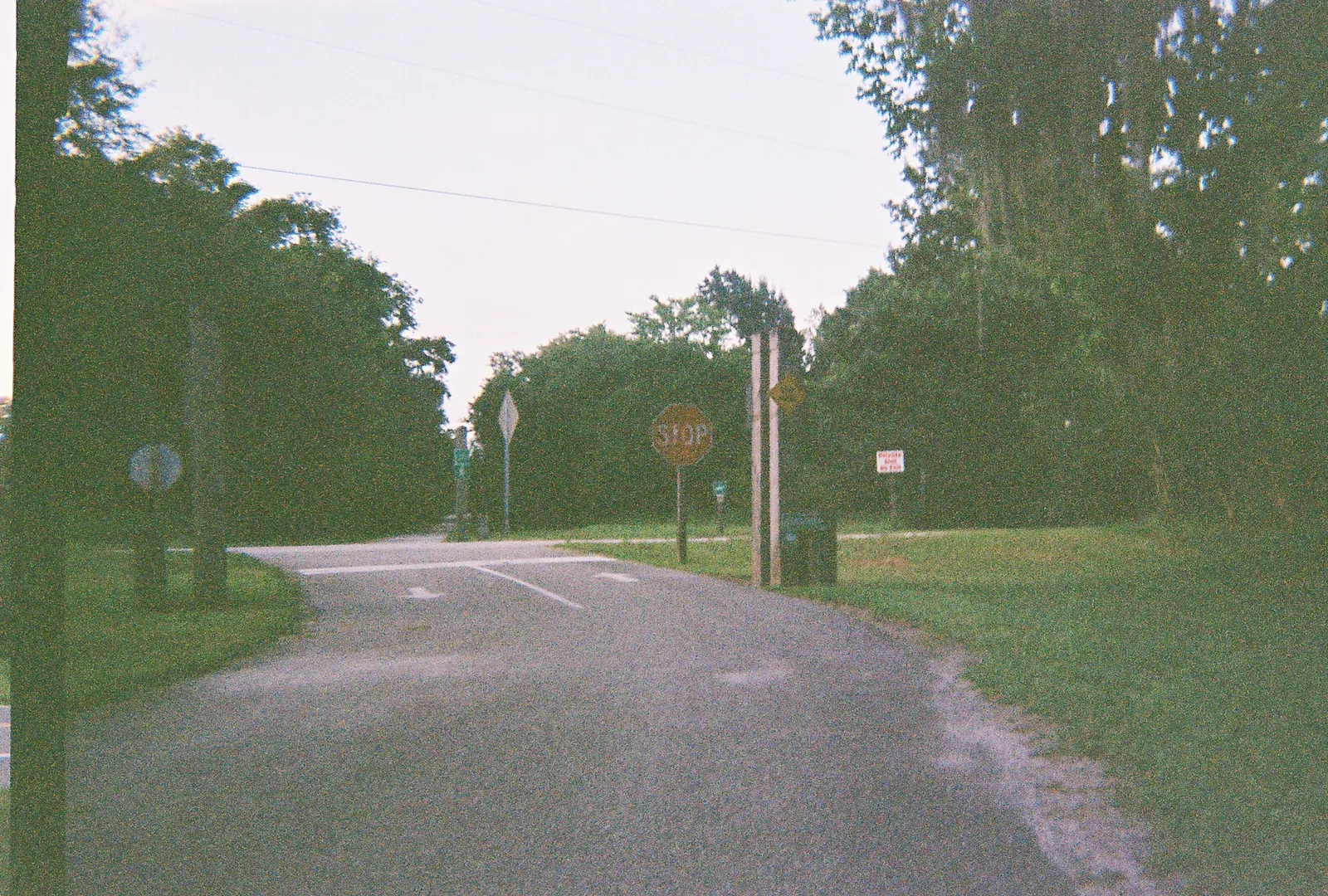 Tree-lined Withlacoochee State Trail near Brookridge in Hernando County Florida