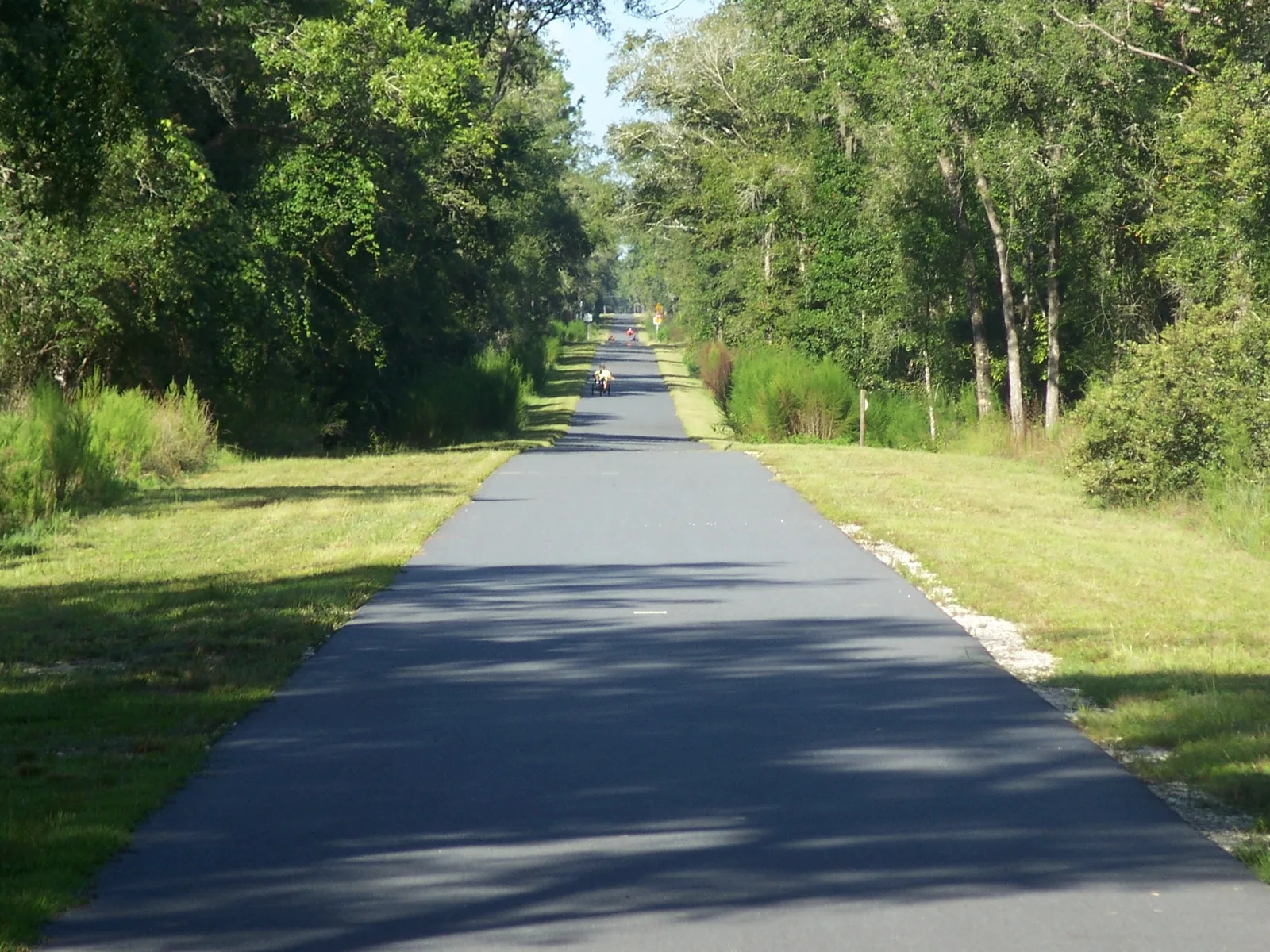 Tree-lined Good Neighbor Trail near Withlacoochee State Trail in Hernando County near Cascades Brooksville