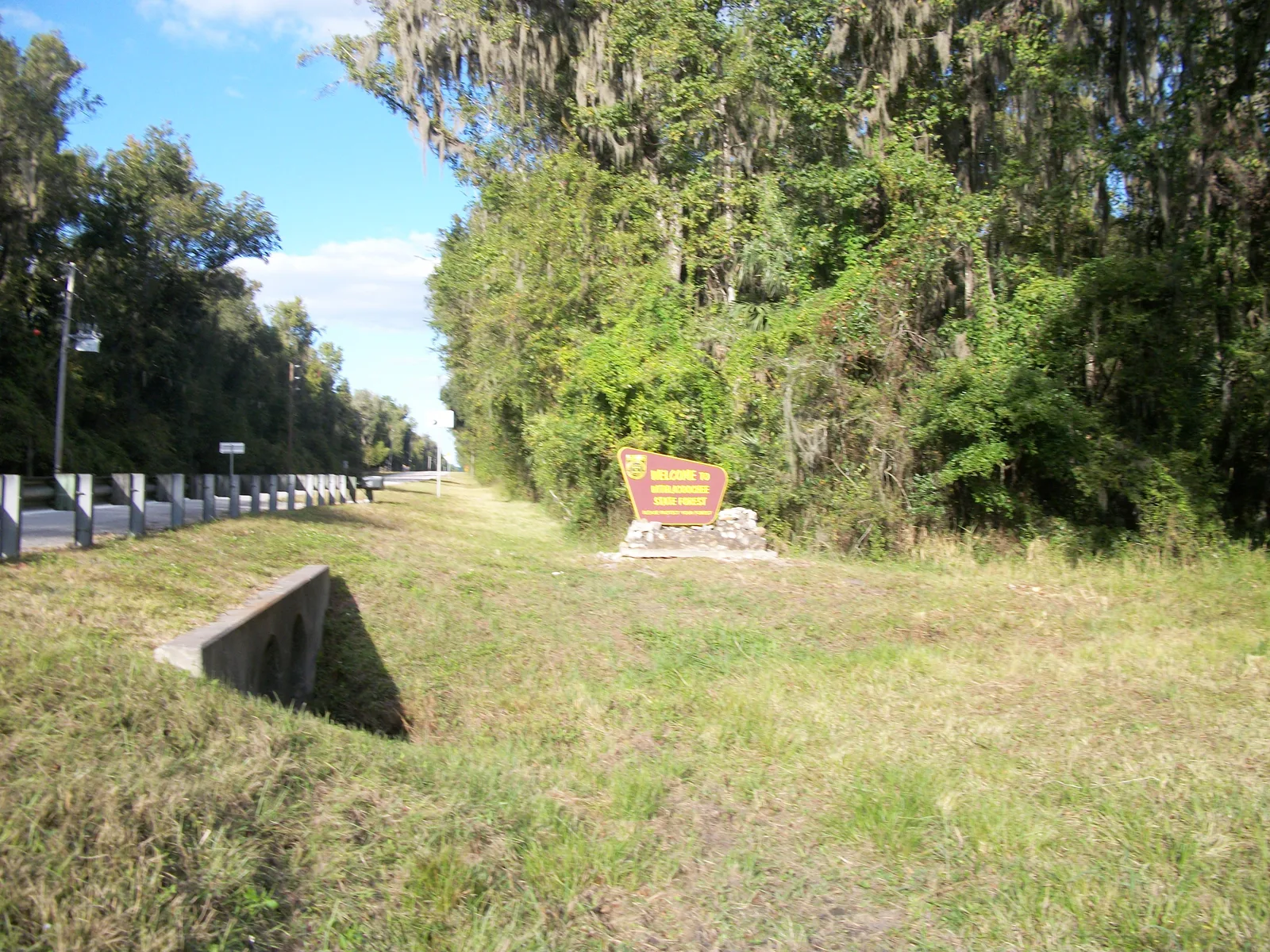 Withlacoochee State Forest welcome sign in Hernando County near Wellington at Seven Hills Spring Hill